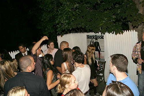 Ashlee Simpson 3